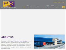 Tablet Screenshot of newpk.com